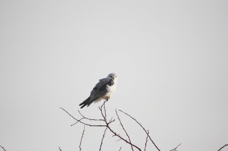 c_2015_08_29 07_35_43_695